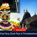 Kaal Sarp Dosh Puja In Trimbakeshwar