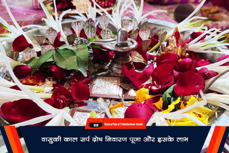 वासुकी काल सर्प दोष निवारण पूजा और इसके लाभ