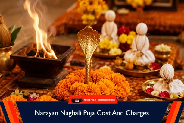 Narayan Nagbali Puja Cost And Charges